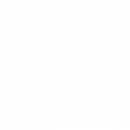 "Зебра"
